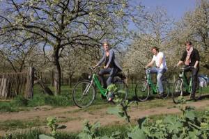 Frühlingsradtour mit dem NiederrheinRad